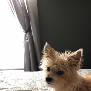 Meet your Posher, Nancy